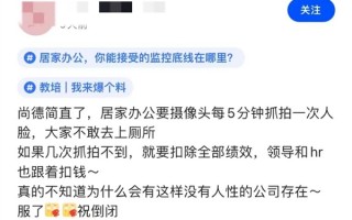 厕所都不敢上！居家办公时代的监控危机