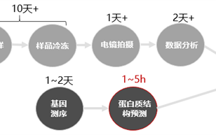 华为昇腾AI还能预防猪生病？让动物疫苗研发费降低100倍