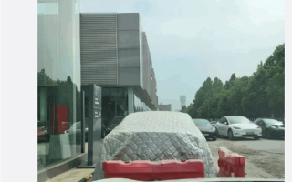 车顶维权女车主车辆现状：停特斯拉门口一年多 还盖上了车衣