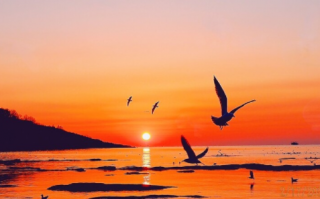 抖音怎么可以上热门 抖音怎么可以上热门技巧