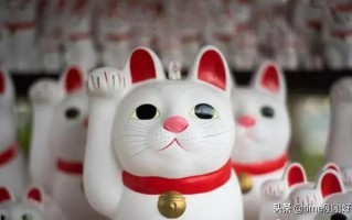 做什么网站能赚钱,五个赚钱网站分享