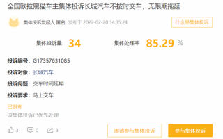 好猫“芯片门”刚了结！长城欧拉黑猫再遭车主集体投诉：不按时交车