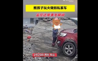 熊孩子用打火机玩火烧毁私家车 监控曝光：点燃了隔音棉