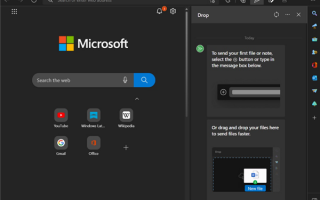 Edge成新一代传文件“神器”：新功能几乎可传所有内容