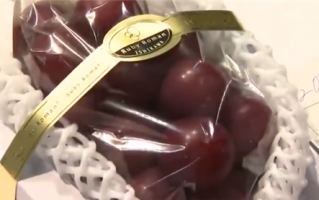 日本一串葡萄拍出7.3万元！重800克 每颗均价近3千