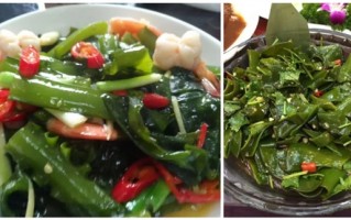 日料店里常吃的凉菜“中华海藻”：竟然有3种性别