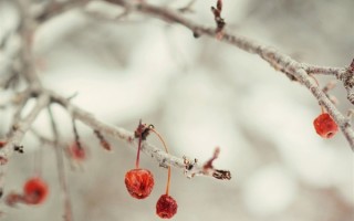 今日23时33分春分至！全年升温最快时段来了 我国大部地区加速回暖