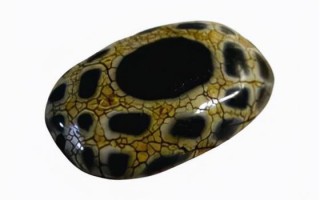 西藏四眼天珠的寓意及功效 藏式天珠眼的象征意义