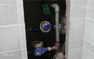 为什么蚊子比以往出现得更早了？央视揭秘：“越冬蚊”变多了