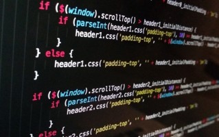 脑瘫小伙自学编程创业年入300万 网友：学习改变命运