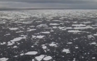 3月南极洲出现极端高温！南极海冰面积缩小至历史新低