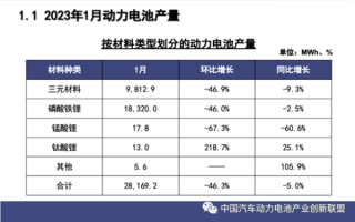 弯道超车 中国动力电池企业 “狂飙”入欧
