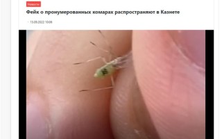俄罗斯发现编号38的蚊子？为何会被传为生化武器等？专家释疑