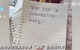 小学生开学前一天狂补40篇日记 1小时完成内容让网友笑喷：多地迎开学第一天