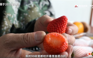 10万单电商爆款丹东草莓被曝造假：竟产自江苏