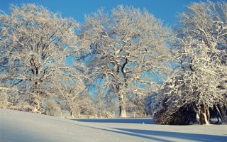 英国热水袋销量激增超200%！“光腿神器”火遍欧洲