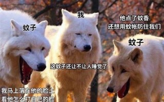 蚊子包为什么越挠越痒？它一边咬你一边吐口水