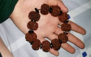 金刚菩提的寓意与作用 菩提品种寓意排行榜