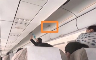 东航回应客机飞行时舱内飞出小鸟：正在调查