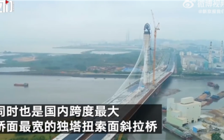 国内跨度最大、桥面最宽！东莞滨海湾大桥通车 形如玉兰花
