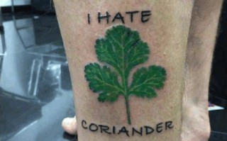 今天是世界讨厌香菜日！全球每100人有15个不喜欢香菜