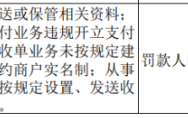 小米旗下支付公司被罚 12 万，涉违规开立支付账户等：雷军为法定代表人，产品包括 MIUI 钱包 App