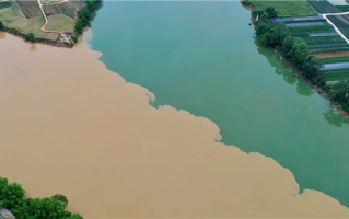 一黄一绿泾渭分明 广西邕江源头现巨型鸳鸯江奇景