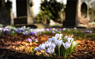 河南00后女孩代客祭扫：半小时要90度鞠躬9次 用手机记录整个过程