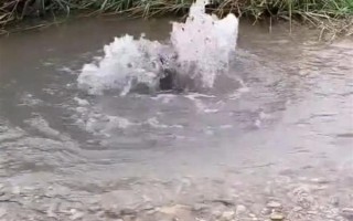 宁夏固原地震带上突现泉眼 官方回应称系蓄水池满溢冒水：网友直呼尴尬