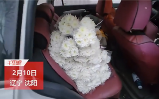 情人节前夕外滩现巨型玫瑰：有男子欲买小雏菊送女友不料买成白菊