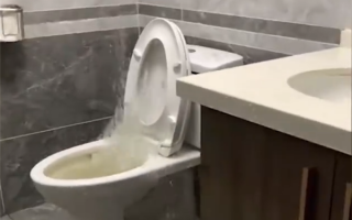 山东多地遭遇入汛以来最强降雨：青岛女子家中马桶变“喷泉”