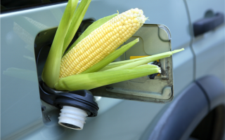 有望替代汽油、被誉为“未来燃料” 玉米基乙醇曝反转：弊大于利