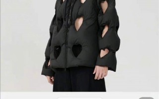 1599元羽绒服全身镂空引热议 客服：里面需要加衣服
