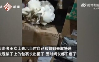 云南女子取快递发现包裹长菌子：感觉很神奇
